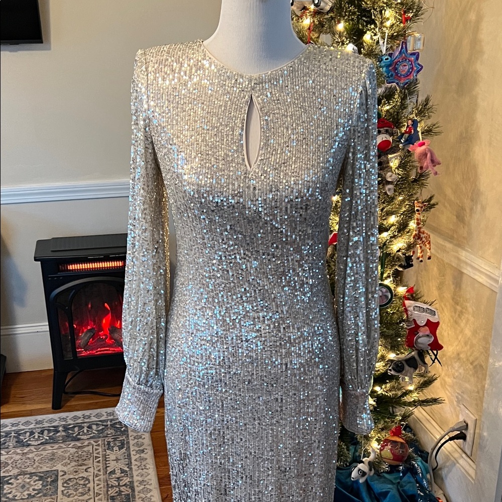 Eliza J sz 8 Elegant Silver Sequin Dress
